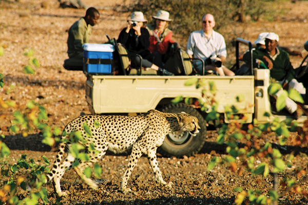 African Travel Inc: Thrilling Adventure in Southern Africa