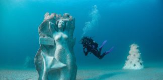 Photos courtesy of the 1,000 Mermaids Project